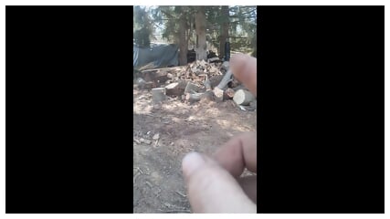 Sawmilling Elm Log