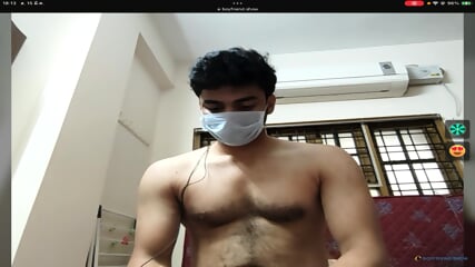 Indian Show Cock