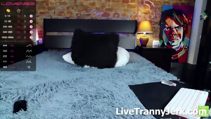 Devilssuccubus Shemale Live Cam